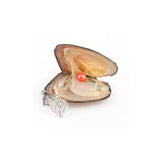 LOYVSTER ™ Collier à Perle d'Huître Naturelle - Perle d'Amour - Shebuel