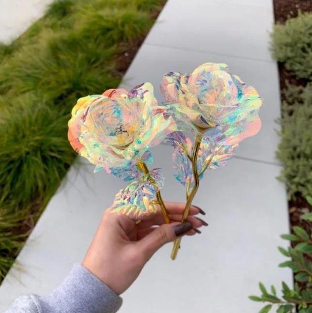 GALAXY ROSE